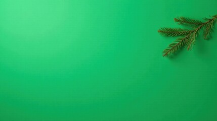 Evergreen Branch on Vibrant Green Background, Perfect for Festive Designs and Holiday Greetings
