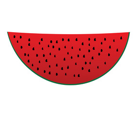 watermelon slice vector illustration