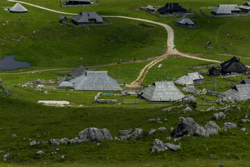 Velika Planina, Kamnik, Slovenia. Lord of the Rings style village. Wooden typical houses, hills, green meadows, flowers where cows and calfs graze. High quality artisanal milk and cheeses. Holiday.