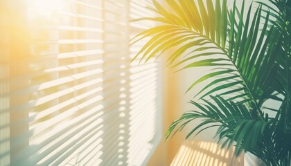 Sunlight Illuminates White Blinds and Lush Green Palm Leaves