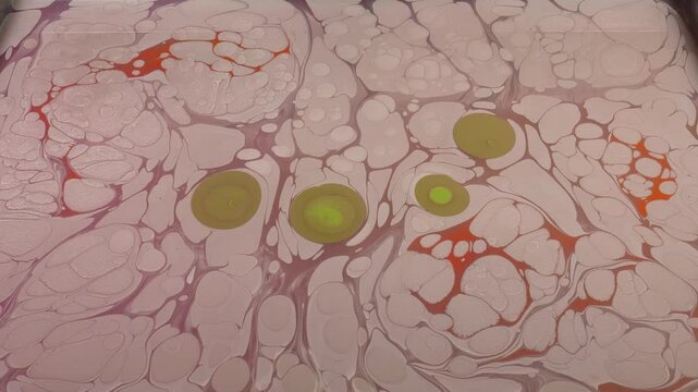 The art of marbling, which is an ornamental art. It is making patterns with paints on water condensed with tragacanth and transferring these patterns onto paper.