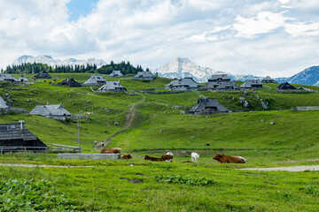 Velika Planina, Kamnik, Slovenia. Lord of the Rings style village. Wooden typical houses, hills,...