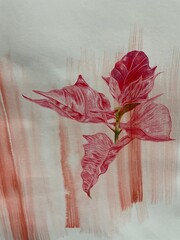 クリスマスの訪れ