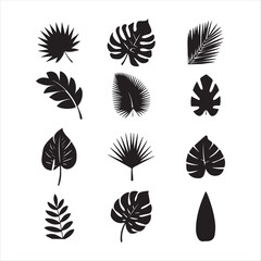 Set of vector leaves silhouette, natural tropical leaves collection on a white background 