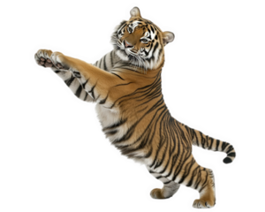 tiger performing exaggerated dance moves, showcasing its playful and comical side. This lively depiction captures essence of fun and energy in vibrant manner