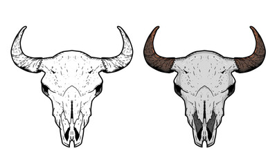 skull. Vintage black vector engraving illustration