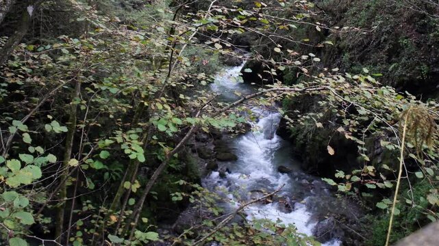 torrent Sanagra,   Sanagra Valley,  Menaggio, Italy, torrent, water, stream,  autumn, fall
