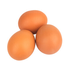 egg duck isolated on white background