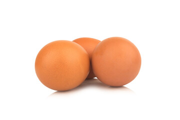 egg duck isolated on white background