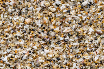 Detail of sand on the beach，La Jolla Tide Pools, San Diego, California

