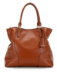 Brown leather woman handbag isolated on white background
