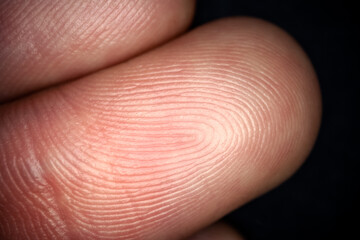 Close up of fingerprint texture. Ultra macro photography