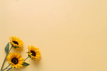 Topview flatlay yellow image with sunflowers