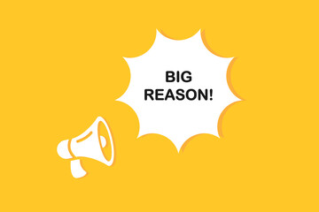 Big Reason speech bubble with megaphone. Big Reason web banner for business, marketing and advertising. Vector illustration.