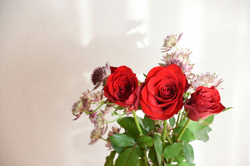 薔薇とアストランチア