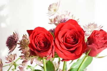 薔薇とアストランチア