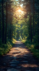Fototapeta premium A sunlit path through a dense forest with tall trees