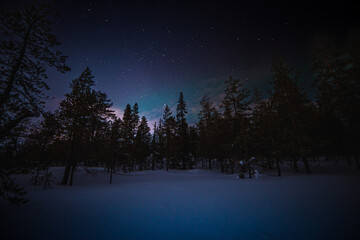 Night sky in Rovaniemi