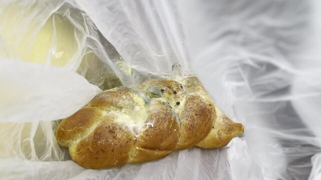 Toxic mold on bread bun surface, stale product in cellophane bag, wrong food storage leading to its bad conditions, creation of mold or mildew because of humidity conditions and fungal spores