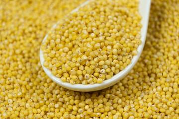 Uncooked organic raw millet grains in a spoon close-up