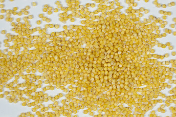 Whole millet grains on white background top view macro