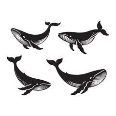 Fluid Humpback Whale silhouette, capturing the motion of the waves - Humpback Whale illustration - Minimalist Humpback Whale vector - Fish silhouette
