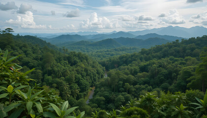 mountain landscape in the summer