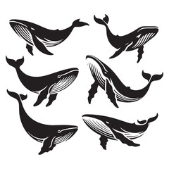 Majestic Humpback Whale silhouette, a true giant of the ocean - Humpback Whale illustration - Minimalist Humpback Whale vector - Fish silhouette
