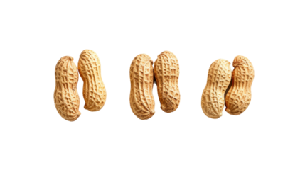 Peanuts in shell forming a pattern on transparent background
