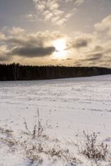 an agricultural field in winter