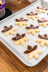 Fototapeta premium Making Star-Shaped Cookies with Chocolate and Peppermint Chips