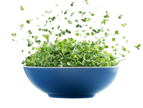 Closeup of fresh green lettuce in a bowl, vibrant and healthy addition to your diet
