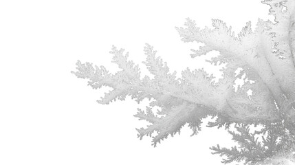 Winter frost snow ice cold isolated on transparent white background