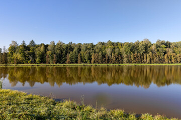 a lake with trees and various shrubs growing on the shore