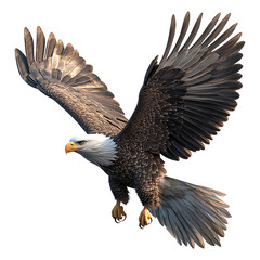 Obraz premium An eagle with spread wings isolated on transparent background