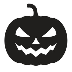 Pumpkin. Icon with reflection on white background