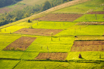 countryside mountain landscape. carpathian climate. green fields, arable and trees on the hill in...