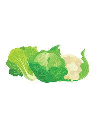 Different types of green vegetables stock illustration
