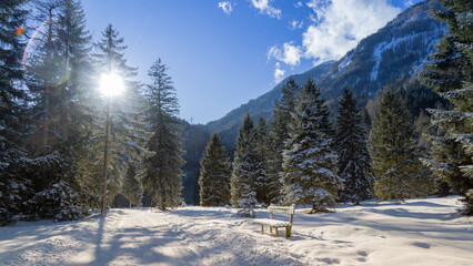 Verschneite_Wald_Bank_02