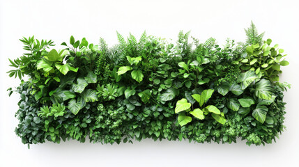 Obraz premium Plant wall that expends across half of the photo, remaining area on a white background.