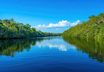 Obraz premium Serene View of Tranquil River Surrounded by Lush Greenery and Blue Sky with Fluffy White Clouds Reflecting in Calm Waters