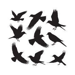 Bird silhouette vector illustration, perfect for logo design, art projects, and graphic design. Diverse positions, flying, perching white Background.