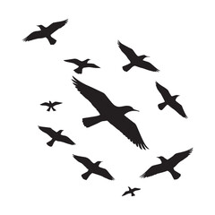 Fototapeta premium Bird silhouette vector illustration, perfect for logo design, art projects, and graphic design. Diverse positions, flying, perching white Background.