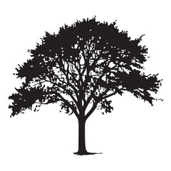 Obraz premium Black and white apple tree silhouette white Background