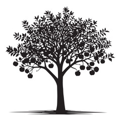 Black and white apple tree silhouette white Background