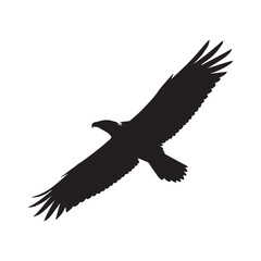 Eagle silhouette, flying bird silhouette white Background.