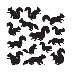 Squirrel silhouettes set, large pack of vector silhouette design, isolated white background white Background.