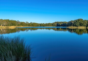 Obraz premium Tranquil lake landscape reflecting clear blue sky and lush greenery in serene nature setting with calm water and grasses along the shore