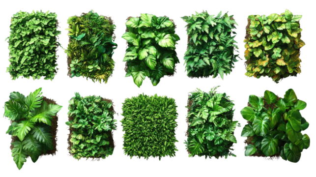 Green Wall: A diverse collection of meticulously curated living wall panels showcases a rich tapestry of vibrant, lush greenery, each displaying a unique texture, shape, and shade of foliage