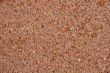 A close-up shot displays a dense pile of psyllium seeds, their oval shapes and varied brown hues creating a textured, natural pattern